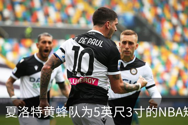 夏洛特黄蜂队为5英尺3寸的NBA矮个子传奇退役球衣
